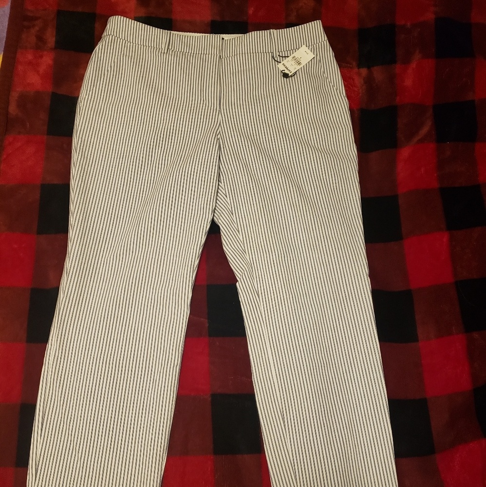 Express ankle pants